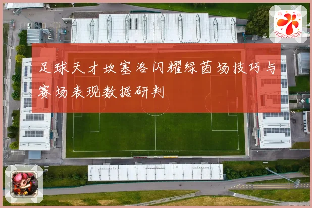 足球天才坎塞洛闪耀绿茵场技巧与赛场表现数据研判