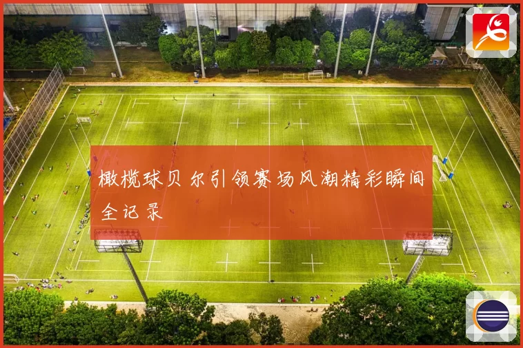 橄榄球贝尔引领赛场风潮精彩瞬间全记录