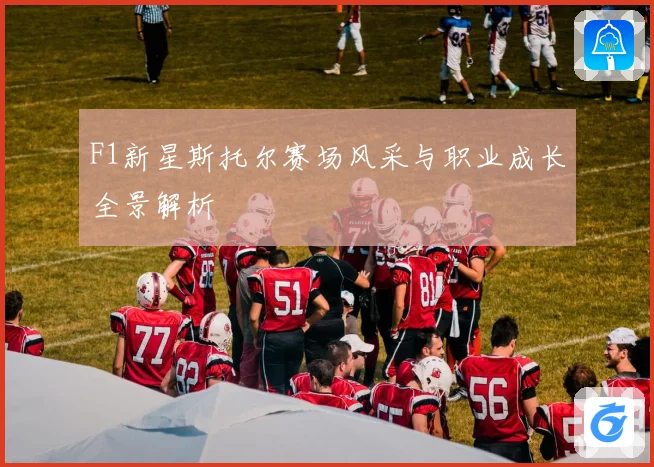 F1新星斯托尔赛场风采与职业成长全景解析