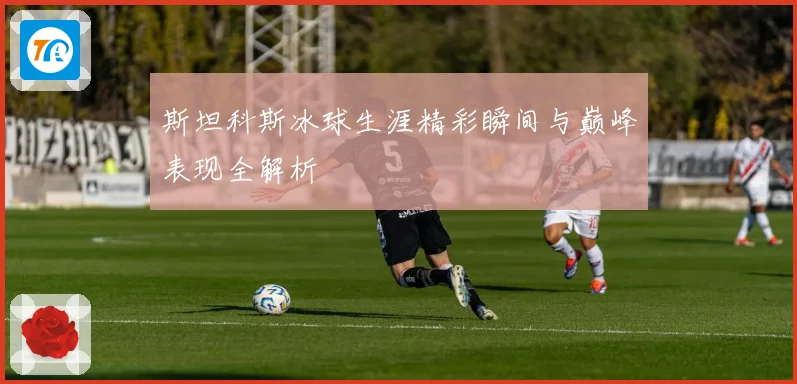 斯坦科斯冰球生涯精彩瞬间与巅峰表现全解析