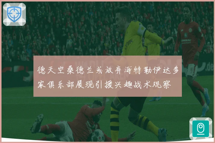 德天空桑德兰或放弃海特勒伊达多家俱乐部展现引援兴趣战术观察